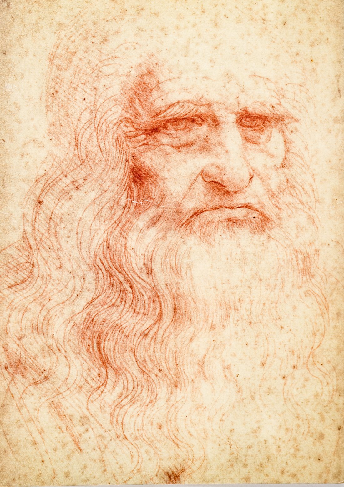 Leonardo da Vinci's red chalk self-portrait — a finely shaded study of an old man's face, drawn in pencil and chalk